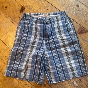 American Eagle Outfitters Blue and White Plaid Flat Front Shorts